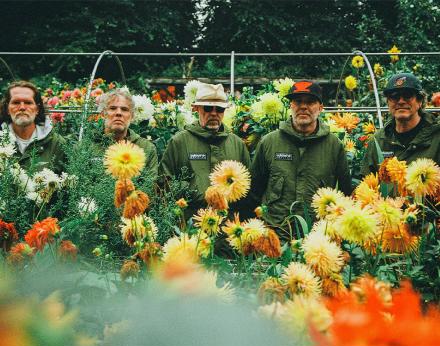 Super Furry Animals